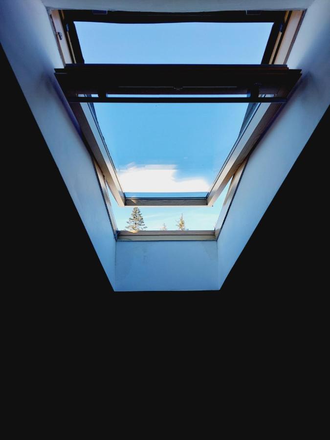 Studio Villa Park 410 ボロヴェッツ エクステリア 写真