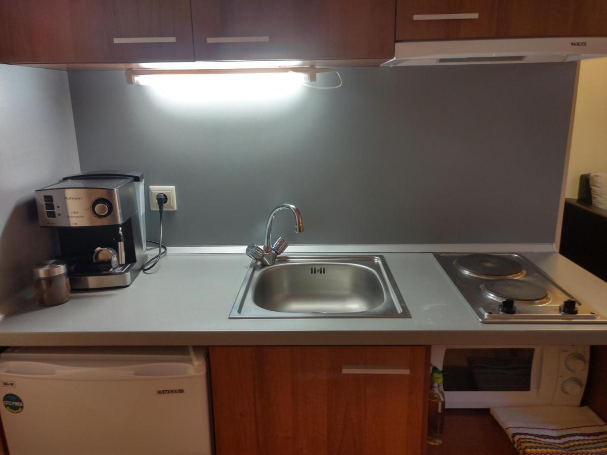 Studio Villa Park 410 ボロヴェッツ エクステリア 写真
